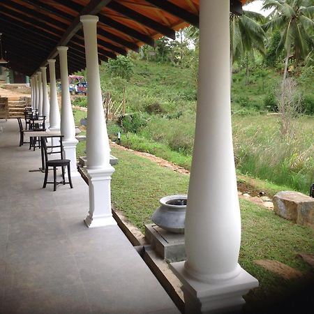 Explore Sinharaja Rain Forest Tour Camp Dombagoda エクステリア 写真