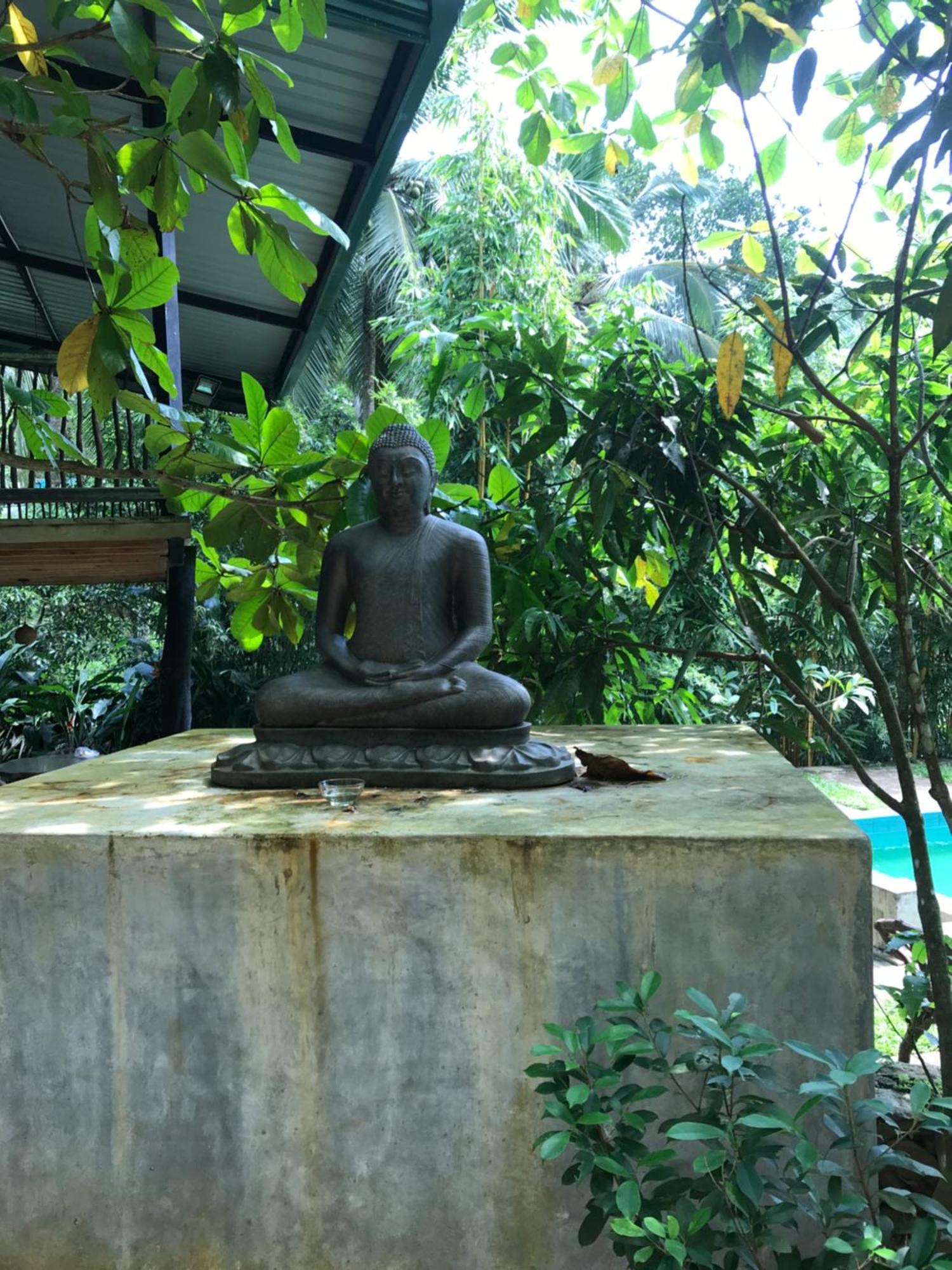 Explore Sinharaja Rain Forest Tour Camp Dombagoda エクステリア 写真