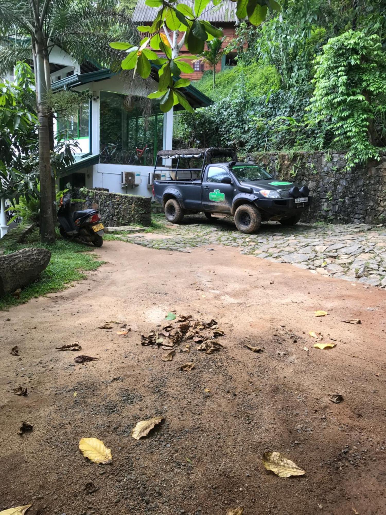 Explore Sinharaja Rain Forest Tour Camp Dombagoda エクステリア 写真