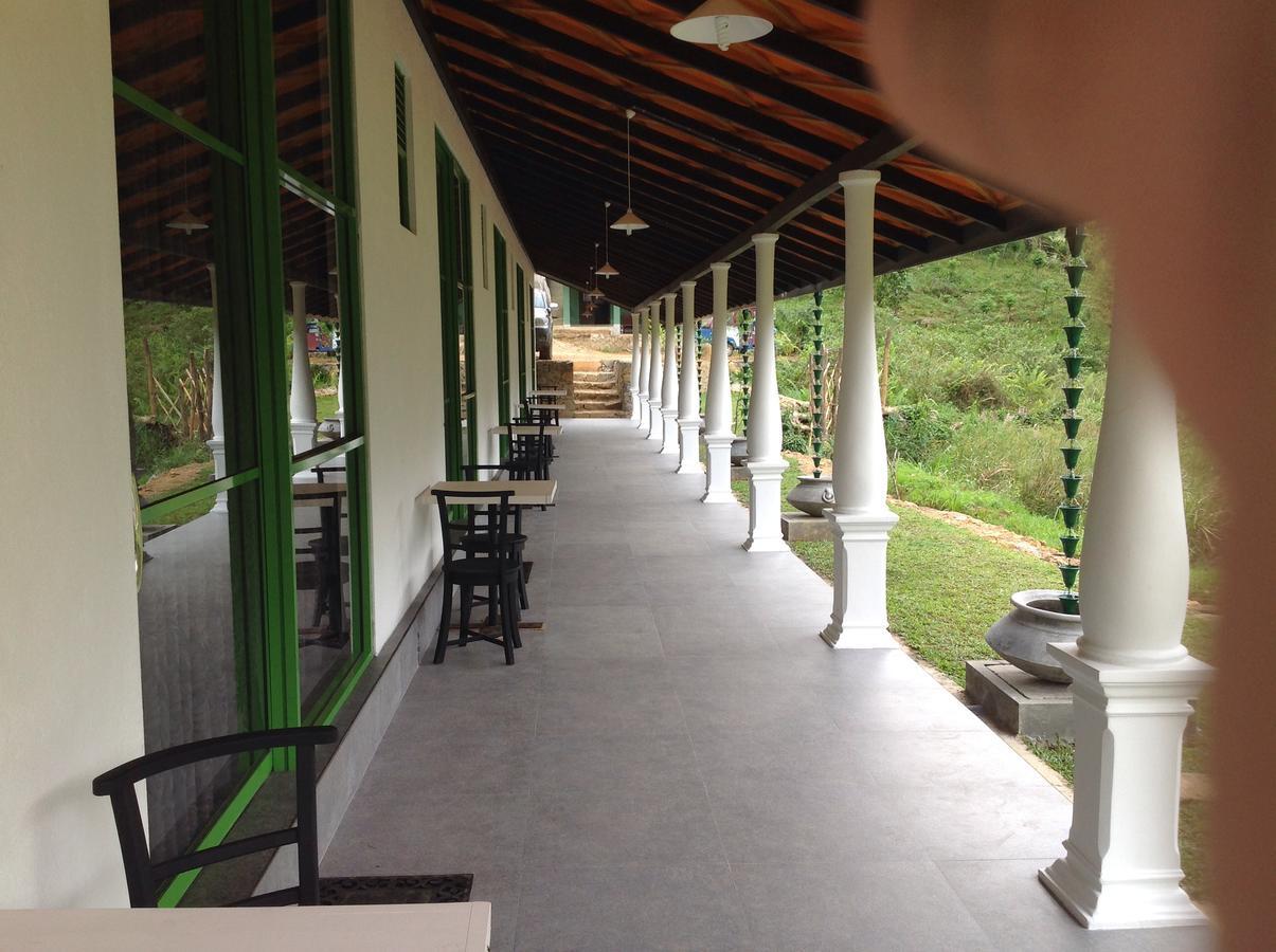 Explore Sinharaja Rain Forest Tour Camp Dombagoda エクステリア 写真