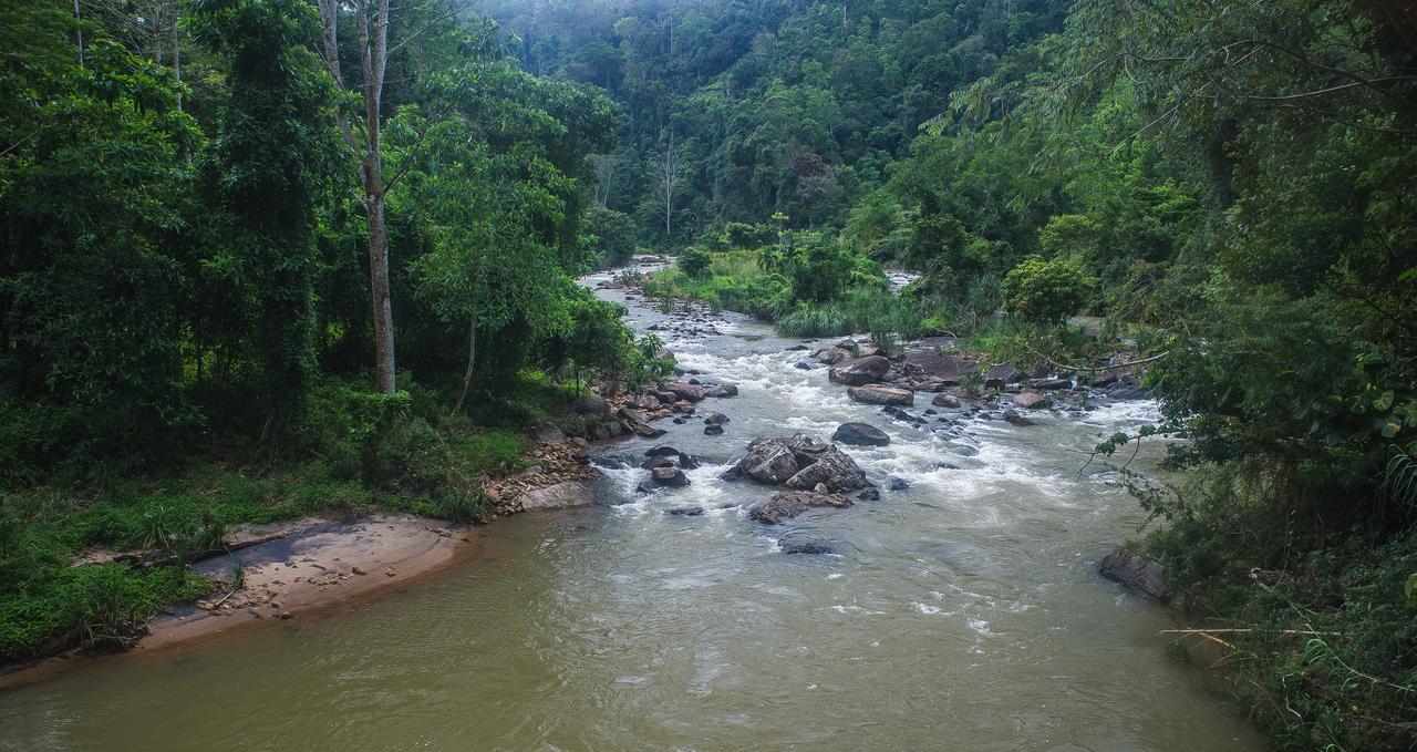 Explore Sinharaja Rain Forest Tour Camp Dombagoda エクステリア 写真