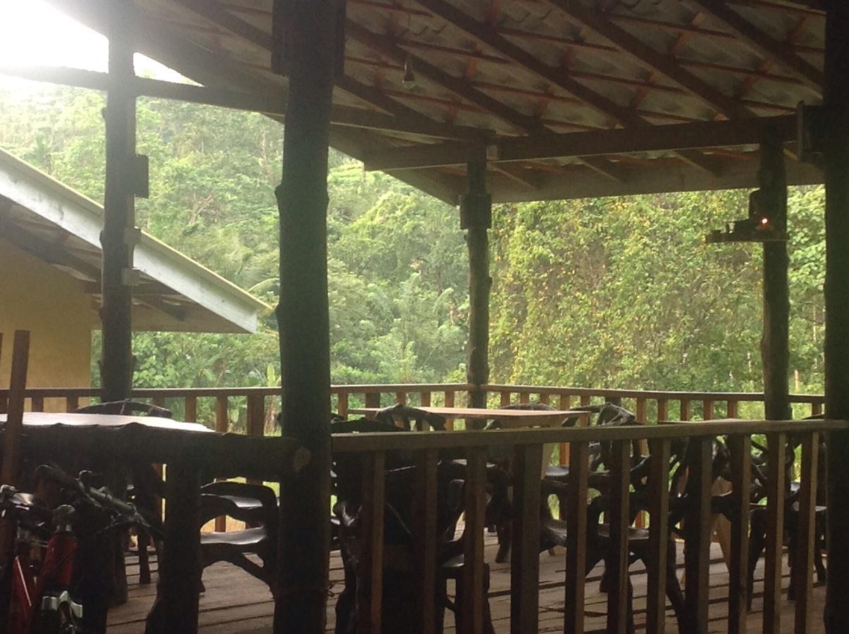 Explore Sinharaja Rain Forest Tour Camp Dombagoda エクステリア 写真