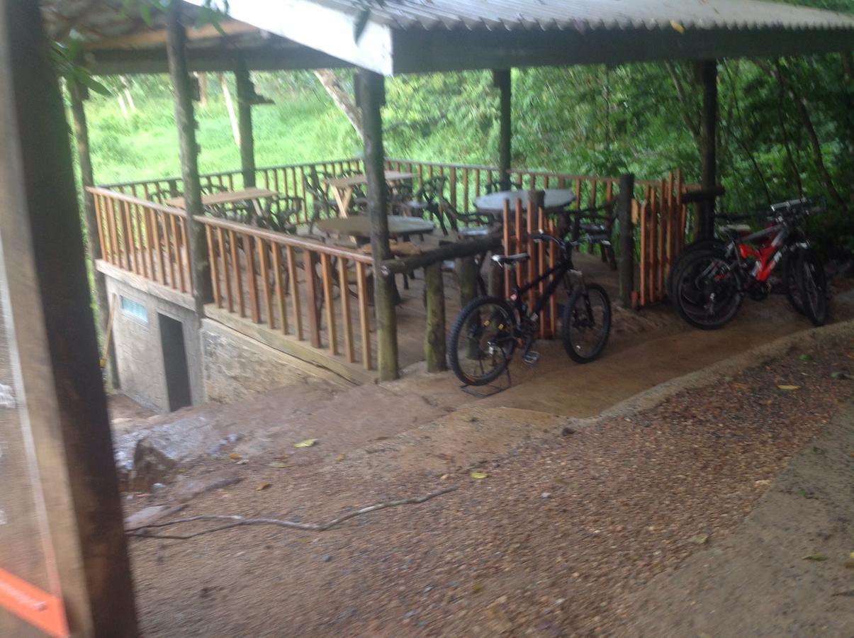 Explore Sinharaja Rain Forest Tour Camp Dombagoda エクステリア 写真