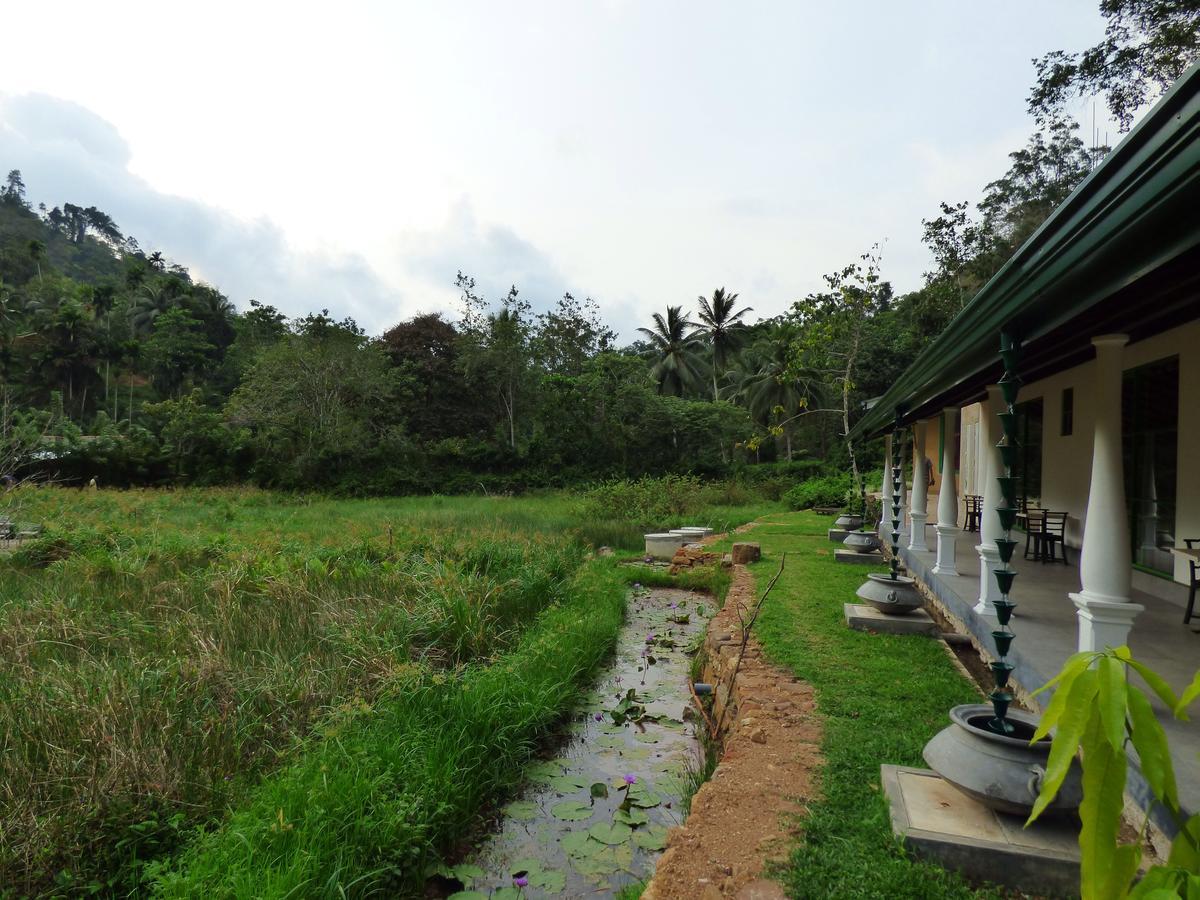 Explore Sinharaja Rain Forest Tour Camp Dombagoda エクステリア 写真