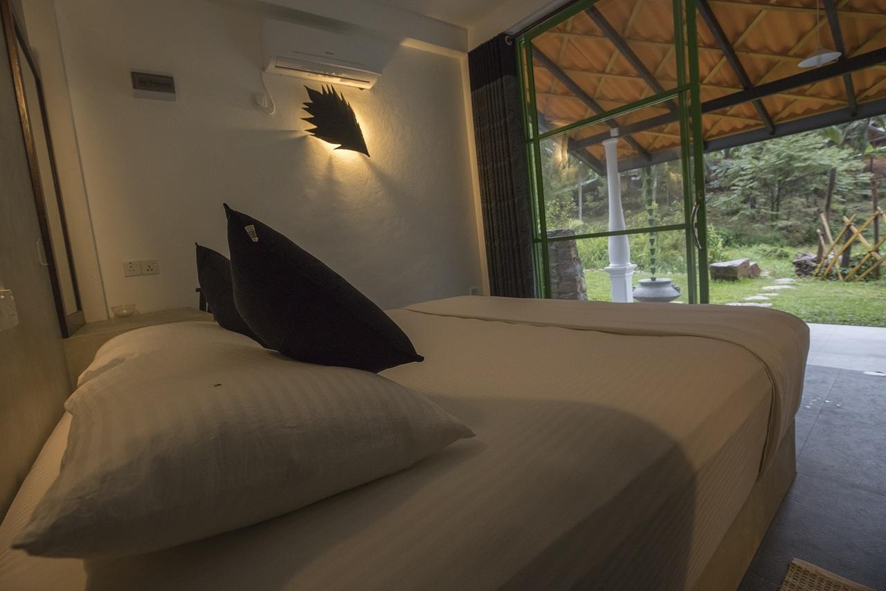 Explore Sinharaja Rain Forest Tour Camp Dombagoda エクステリア 写真