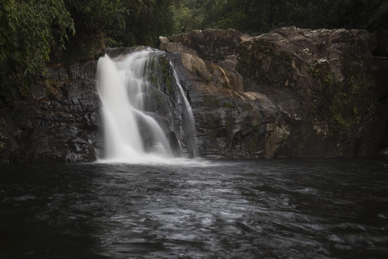 Explore Sinharaja Rain Forest Tour Camp Dombagoda エクステリア 写真