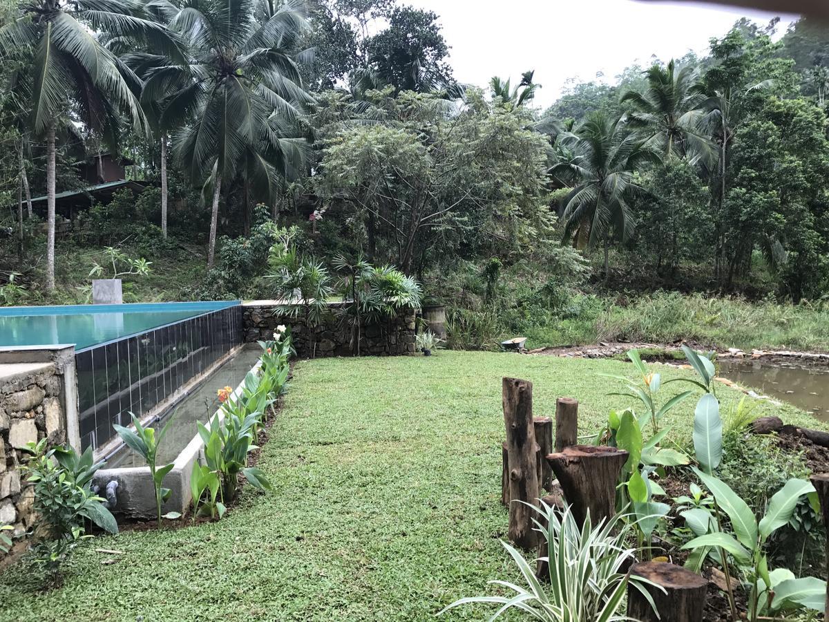 Explore Sinharaja Rain Forest Tour Camp Dombagoda エクステリア 写真