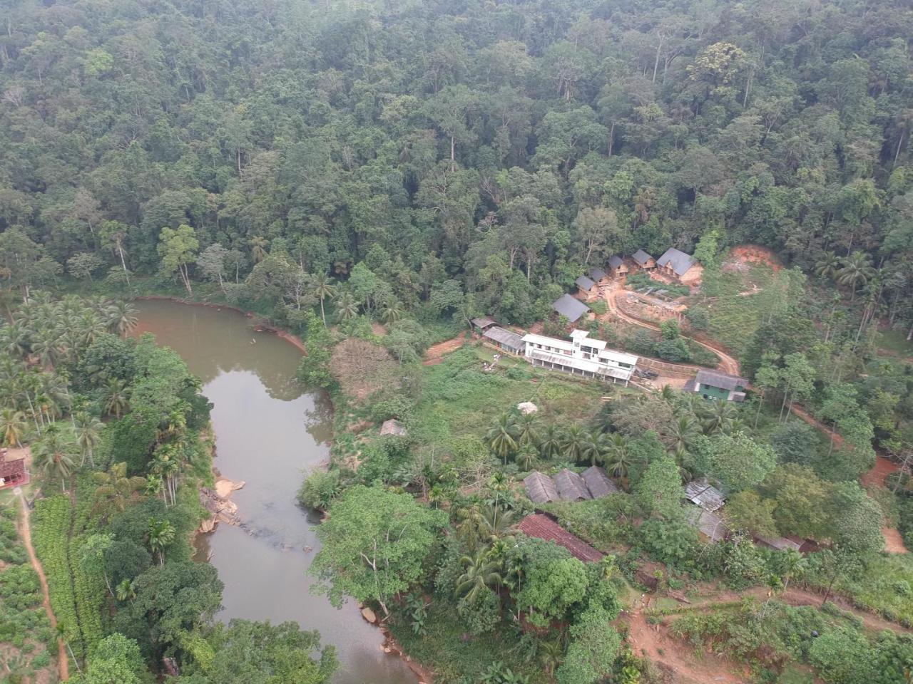 Explore Sinharaja Rain Forest Tour Camp Dombagoda エクステリア 写真