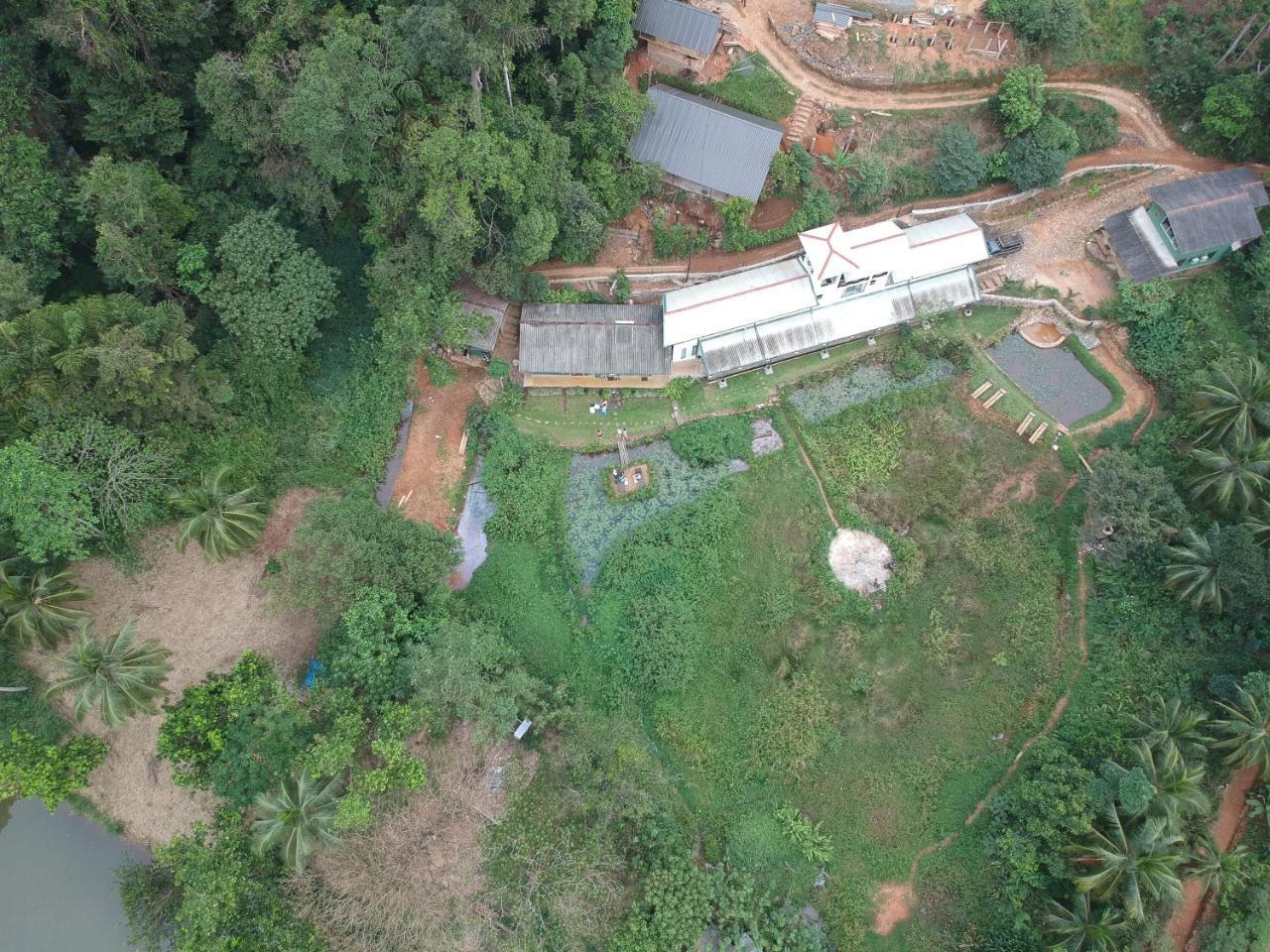 Explore Sinharaja Rain Forest Tour Camp Dombagoda エクステリア 写真