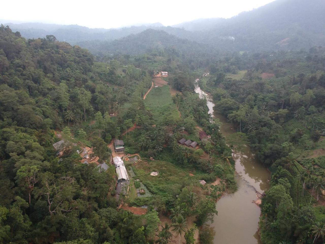 Explore Sinharaja Rain Forest Tour Camp Dombagoda エクステリア 写真